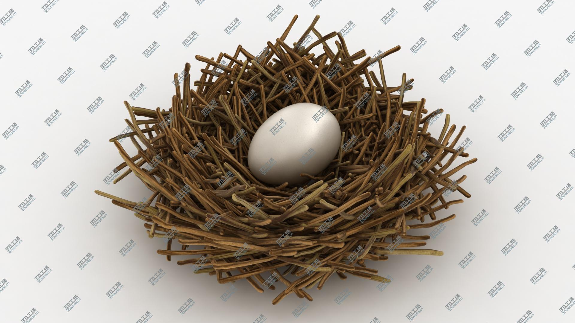 images/goods_img/202104093/Bird Nest Collection 3D model/3.jpg